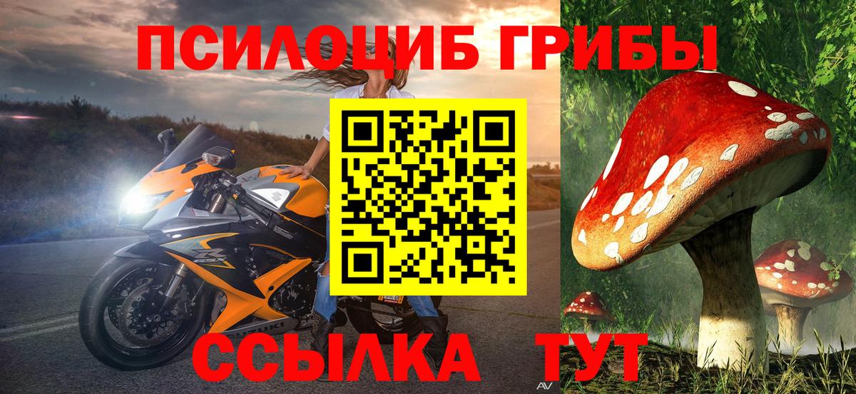 Казань  Галлюциногенные грибы Psilocybine cubensis  цена наркотик  Галлюциногенные грибы Cubensis  Вход с VPN 
